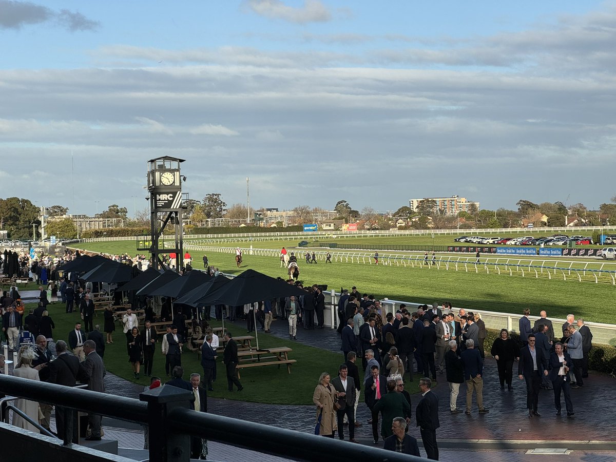 Dave_Healy_'s tweet image. If you squint and zoom in, you will see Pinstriped returning to the mounting yard.
What’s joke. 
#mrc #Caulfield @MelbRacingClub