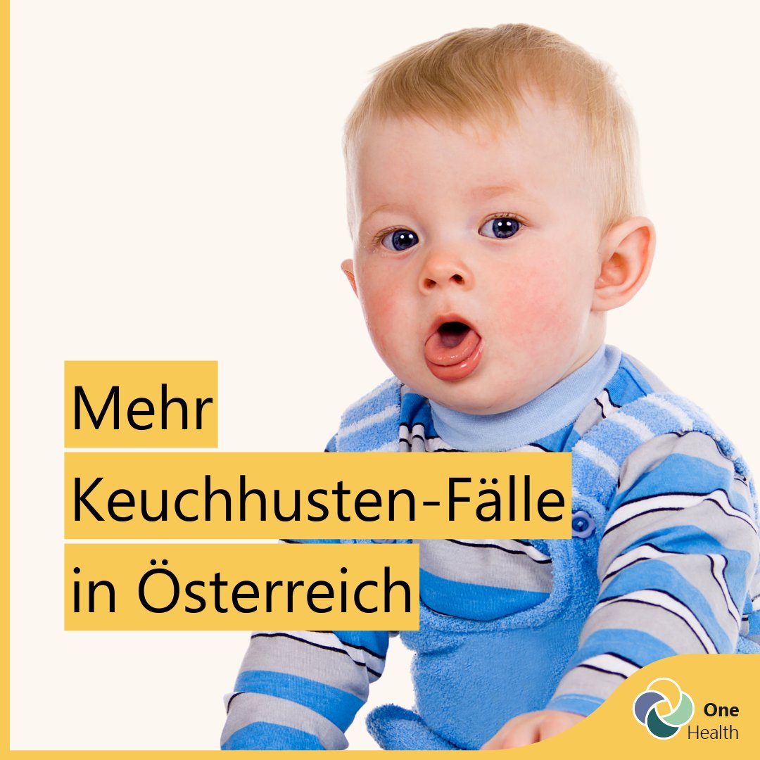 In Österreich &amp; anderen europäischen Ländern gab es heuer einen starken Anstieg der #Pertussis-Fälle. #Keuchhusten ist keine Kinderkrankheit, aber für Säuglinge &amp; Kleinkinder besonders gefährlich. Details im AGES Radar für Infektionskrankheiten: bit.ly/49Onr6k #OneHealth