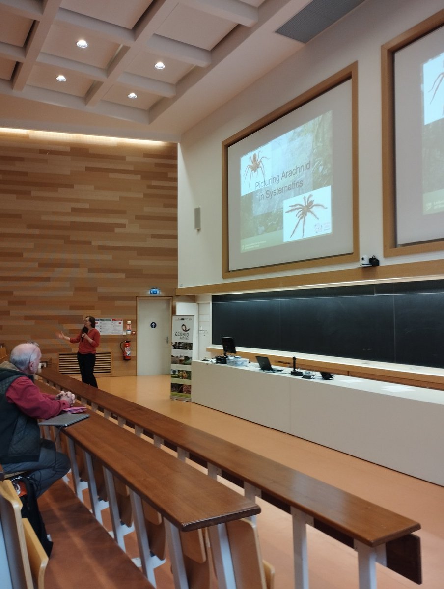 For our last congress day, we had the pleasure to listen to Nadine Dupérré plenary talk about the gigantic work she has been conducting on spider systematics #eca2024 @ESArachnology