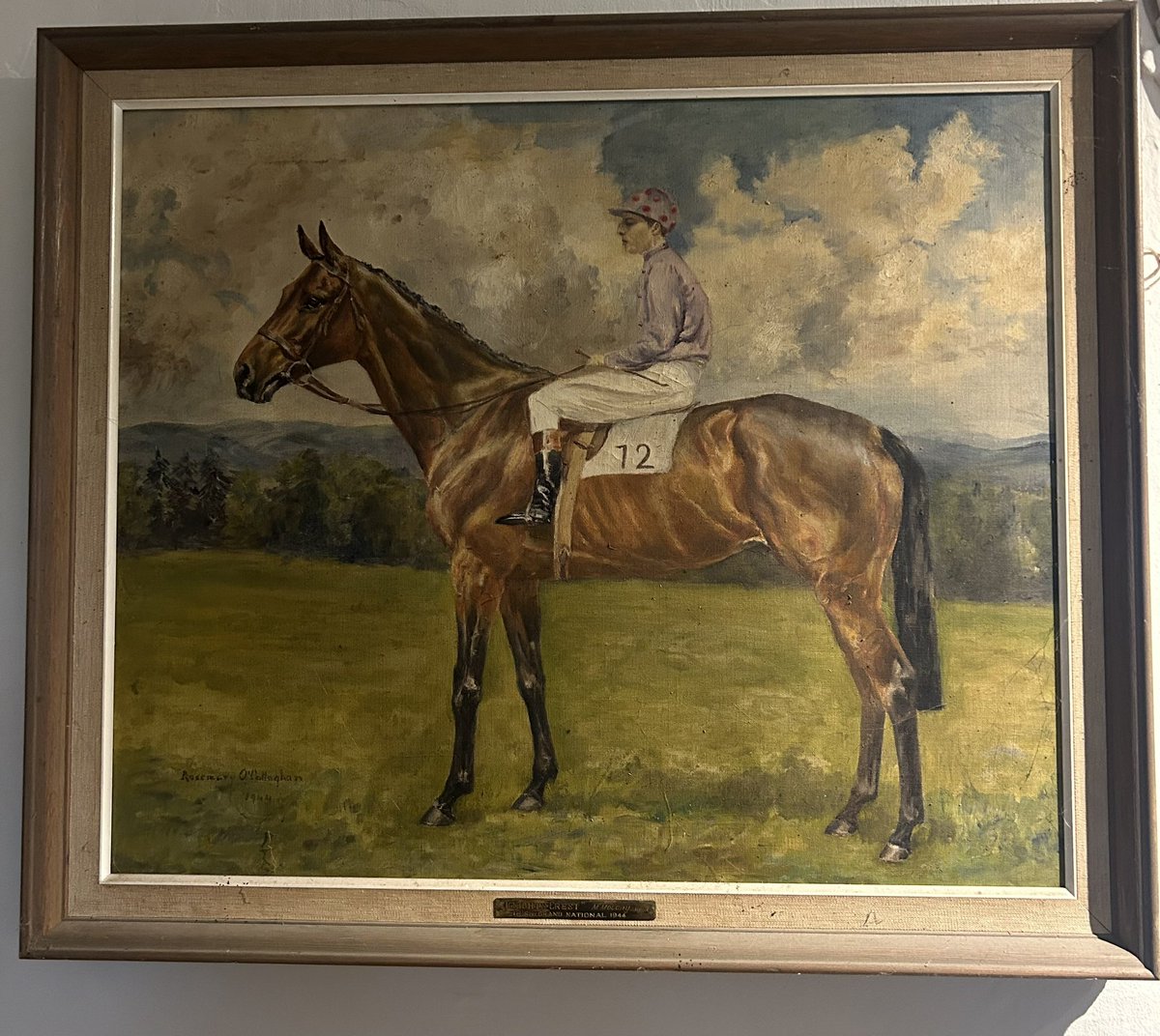 Peter Molony tweet media