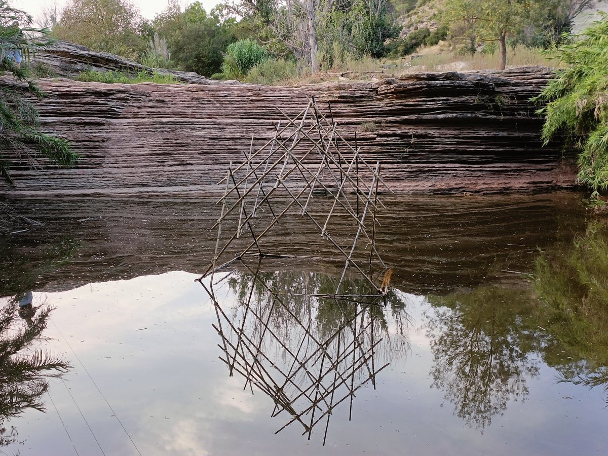 Oriol Gasulla tweet media