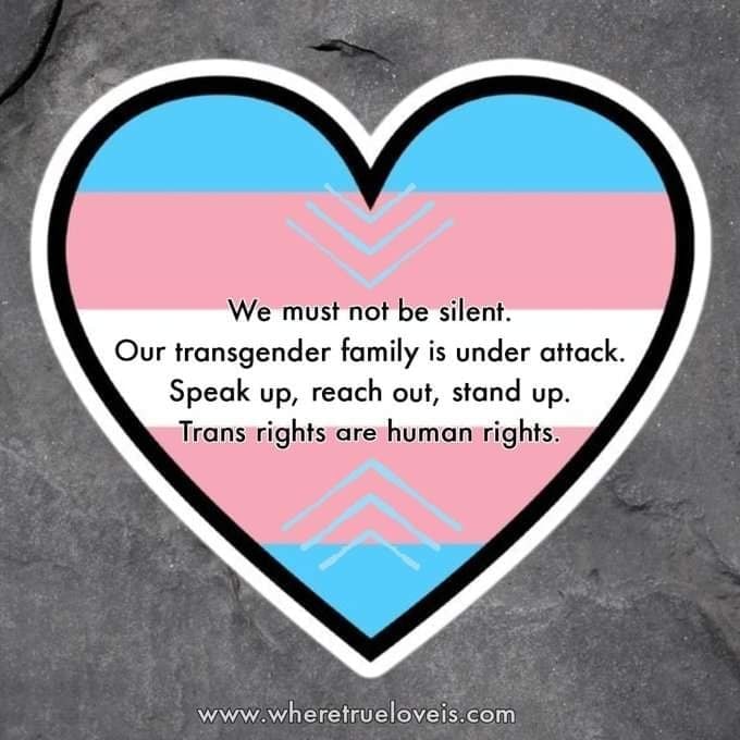 🌈The Where True Love is Movement 🏳️‍⚧️ (@wheretrueloveis) on Twitter photo 