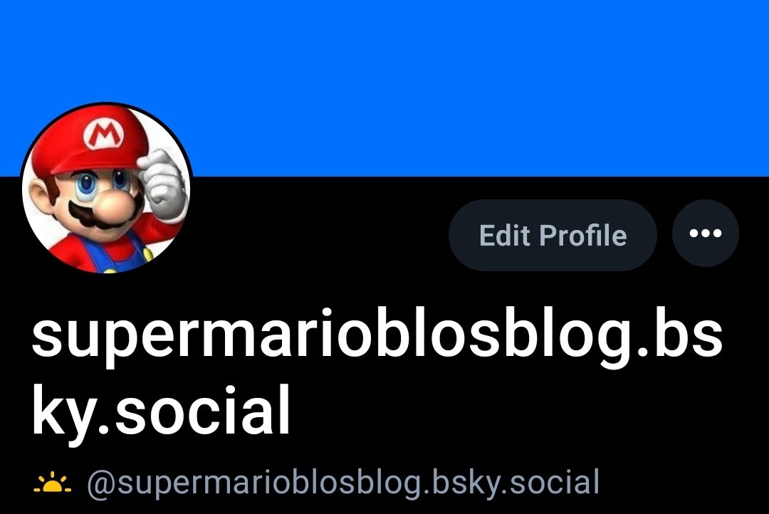 supermarioblos's tweet photo. follow my bluesky https://t.co/fBAjzrpbMj
