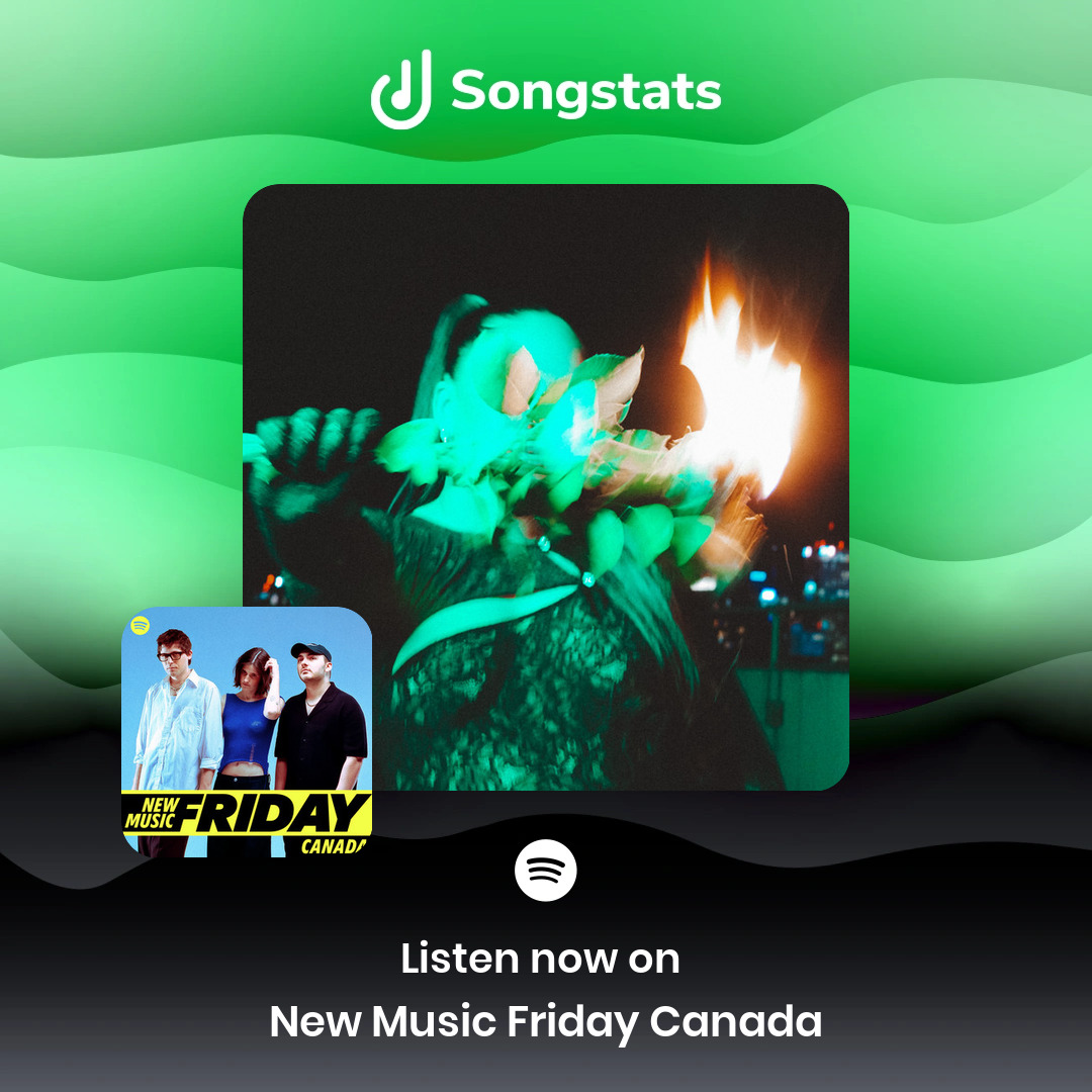 Songstats tweet media