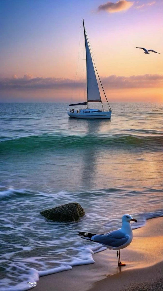 ΚΑΛΟ  ΣΑΒΒΑΤΟΚΥΡΙΑΚΟ!
Κ Α Λ Η Μ Ε Ρ Α!