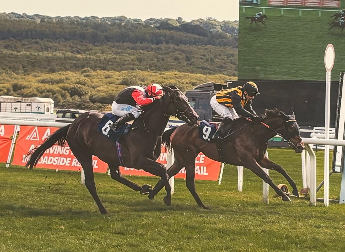 Manor House Stables (@mhs_horseracing) on Twitter photo 📷 <a href="/VEFAHARASI/">ARACI EKÜRİSİ</a>'s Native Souvenir pictured winning on debut under <a href="/Aidankeeley25/">Aidan Keeley</a> at <a href="/FfosLasRC/">Ffos Las Racecourse</a> yesterday.
<a href="/Coral/">Coral</a> <a href="/HM3Legal/">@HM3Legal⭐️B Corp™ Changing Lives</a> <a href="/nafuk/">@nafuk</a> #TeamMHS 📷 <a href="/VEFAHARASI/">ARACI EKÜRİSİ</a>'s Native Souvenir pictured winning on debut under <a href="/Aidankeeley25/">Aidan Keeley</a> at <a href="/FfosLasRC/">Ffos Las Racecourse</a> yesterday.
<a href="/Coral/">Coral</a> <a href="/HM3Legal/">@HM3Legal⭐️B Corp™ Changing Lives</a> <a href="/nafuk/">@nafuk</a> #TeamMHS