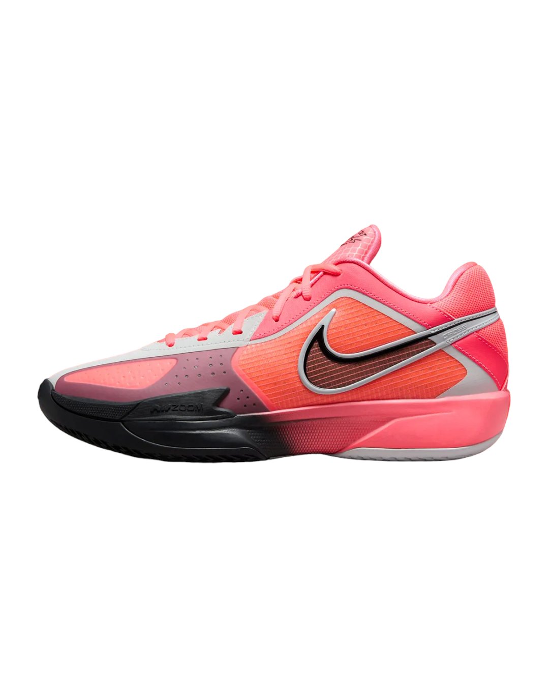 CCPMiddleSize12-11.jpg