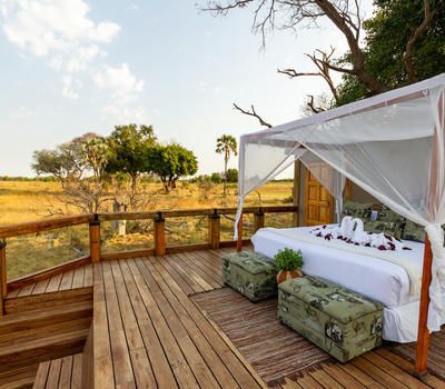 Q2Travel's tweet photo. Our last Starbed spotlight is in Botswana’s Okavango Delta where guests at Camp Okavango spending 3 or more nights can enjoy a night on the new sleep-out deck. Sleep under the stars and experience the vastness of the Okavango Delta! #Botswana https://t.co/aUK8tmSgr0 #Q2Travel https://t.co/A73B44Vtbo