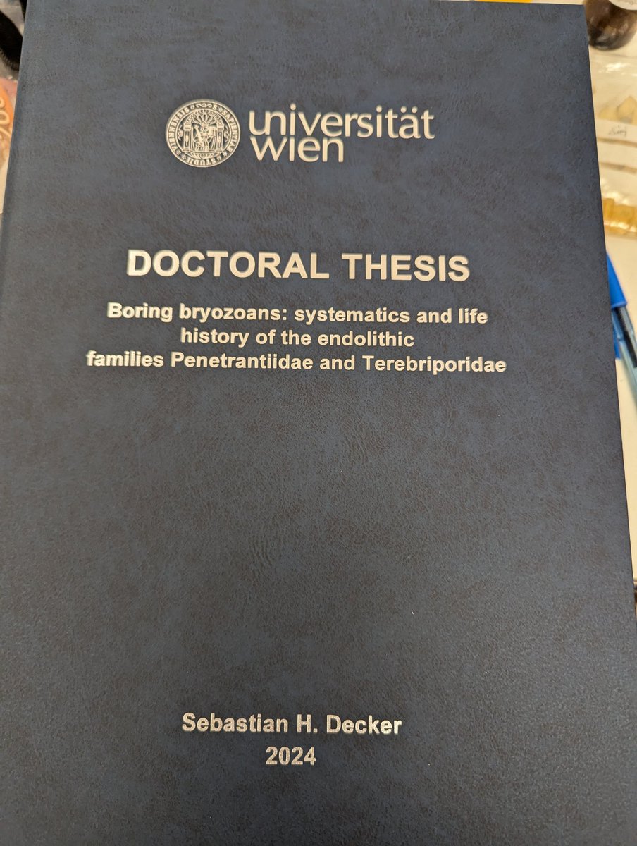 Thomas Schwaha tweet media