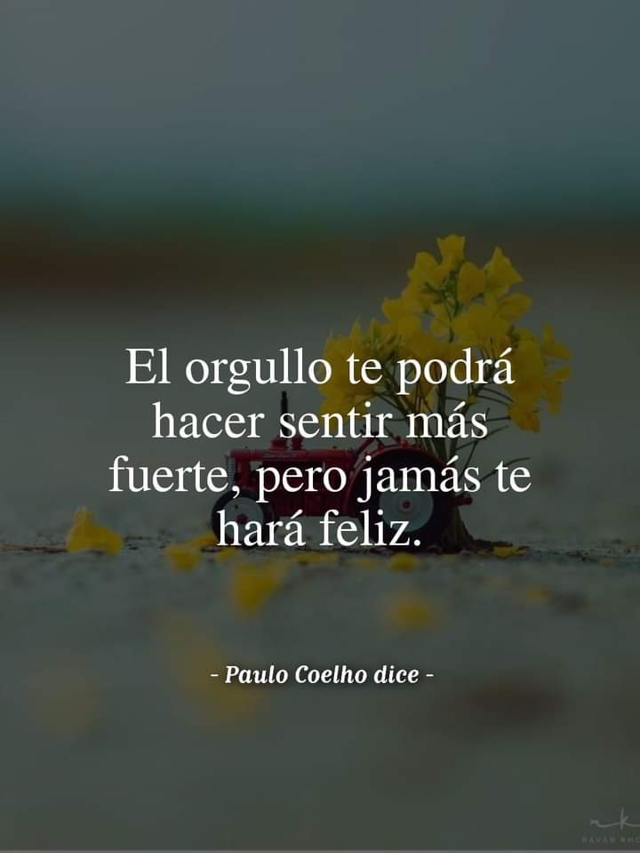 VidaEquilibrada tweet media