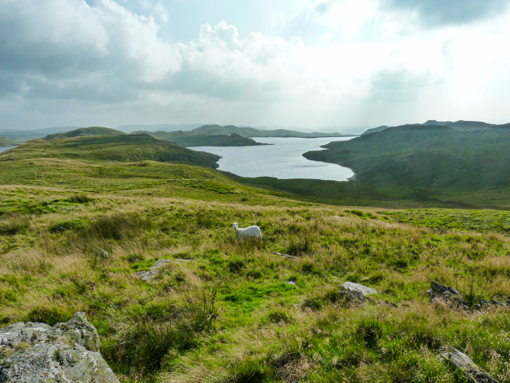 The remote and unspoilt Teify Pools/Llyn Teify  near Ffair Rhos Ceredigion  <a href="/VisitCambMtns/">The Cambrian Mountains ❤️🏴󠁧󠁢󠁷󠁬󠁳󠁿⛰✨</a> <a href="/ItsYourWales/">It's Your Wales</a> 📷My own