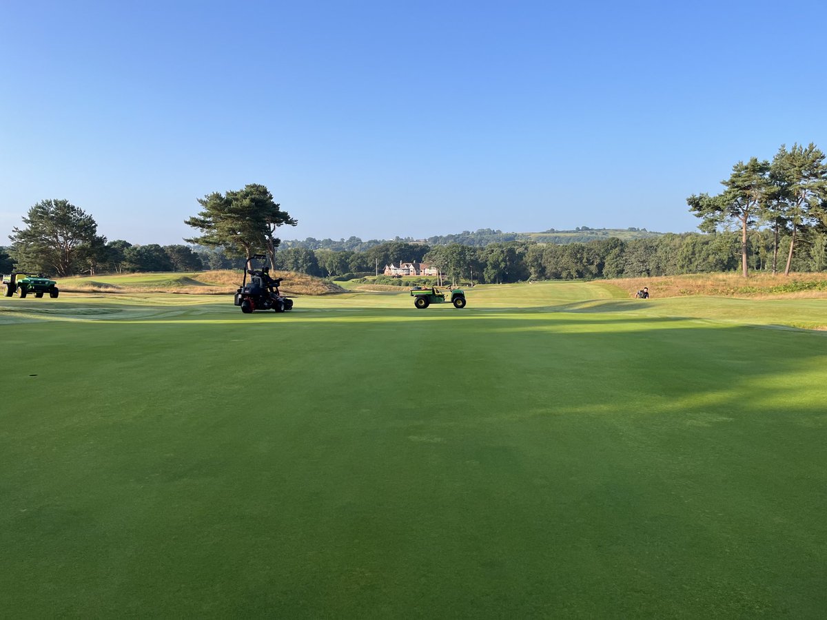 Andrew Williamson tweet media