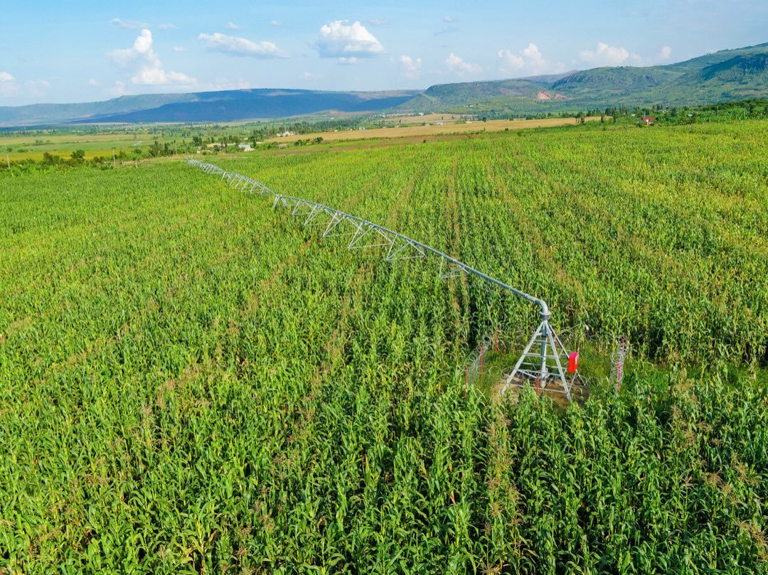 This is not the USA. It is modern irrigation technology in Rwanda.

#AFSForum2024