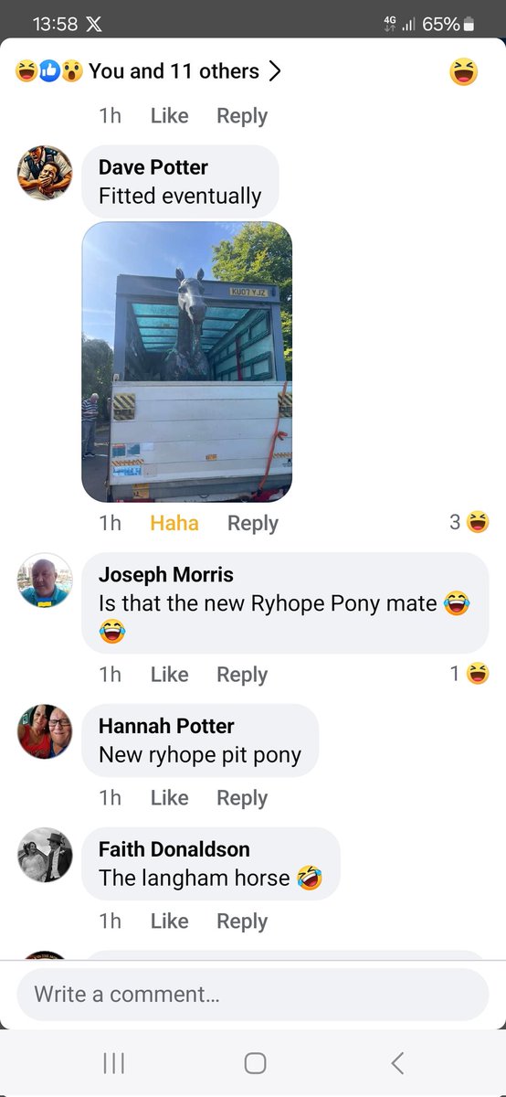 <a href="/RyhopeHorse/">@RyhopeHorse</a> Dave has plans 😂 xxx