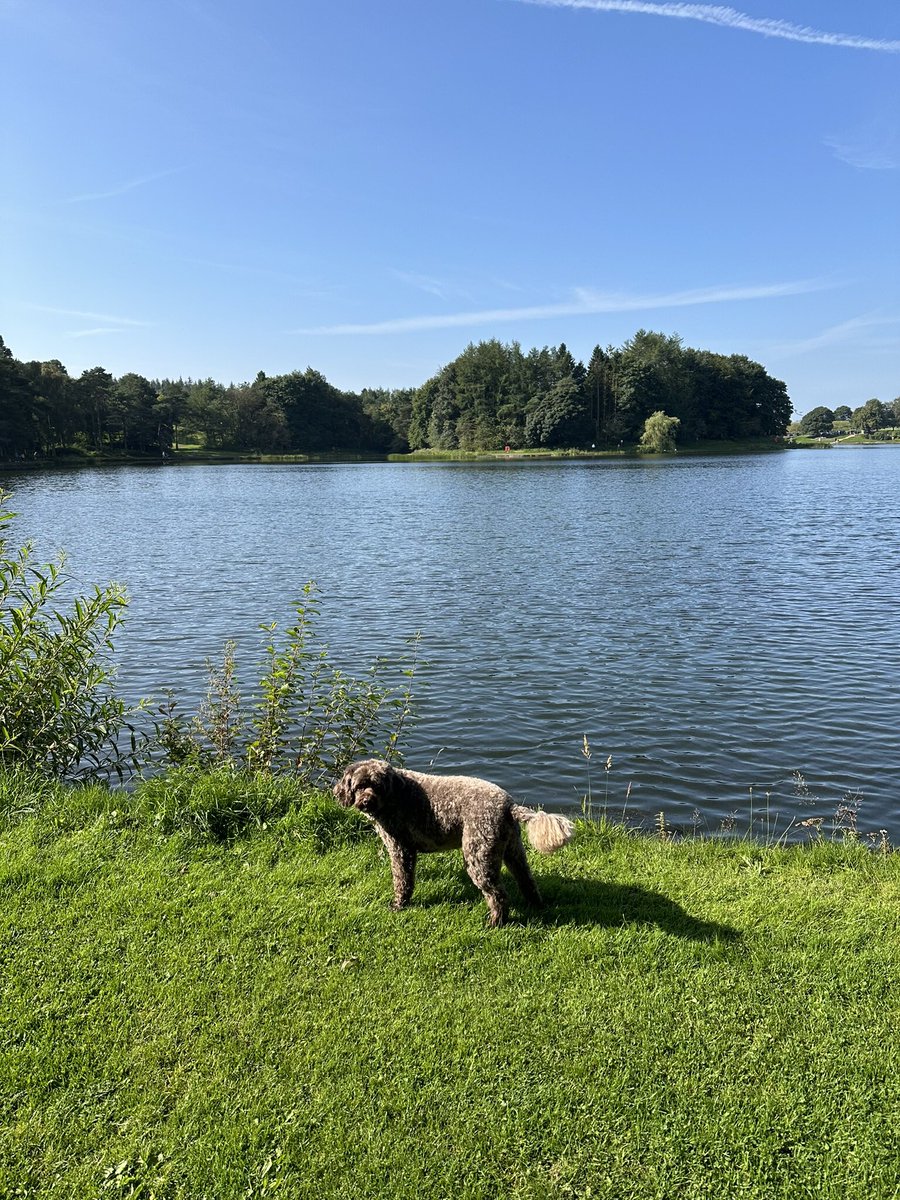 Sunshiiiiiiiiiiiine! 
Happy Saturday pals 😎🐾🐾