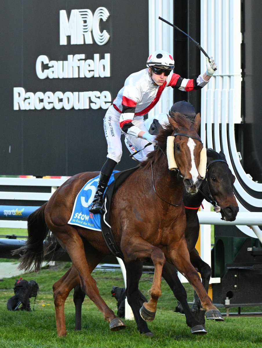 MudgesWorld's tweet image. Pinstriped becomes my 3rd Group 1 winner selected as a weanling.
#ExtraBrut
#Spright
#Pinstriped
 Very proud to be a small part of his journey to Group One Glory

Congrats to @jusufovicracing &amp;amp; the team behind him.