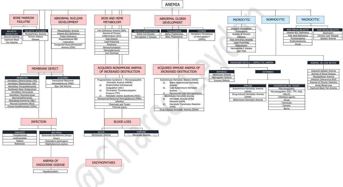 📌ANEMIA

*Made this anemia chart during internship. Please study with caution hehe
