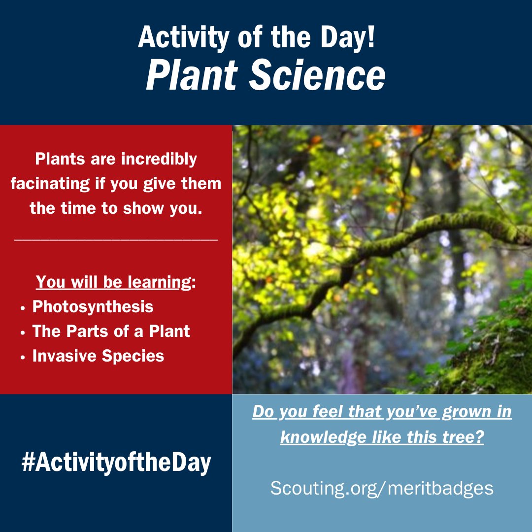 Branch out and try the Plant Science Merit Badge!