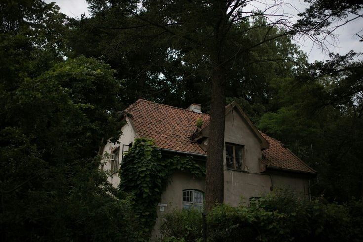 elemmiressoul's tweet photo. close to nature. https://t.co/5K1KixPtRa