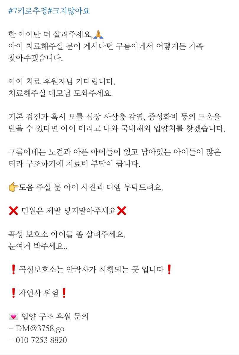 🐻‍❄️웅이🐻‍❄️ tweet media
