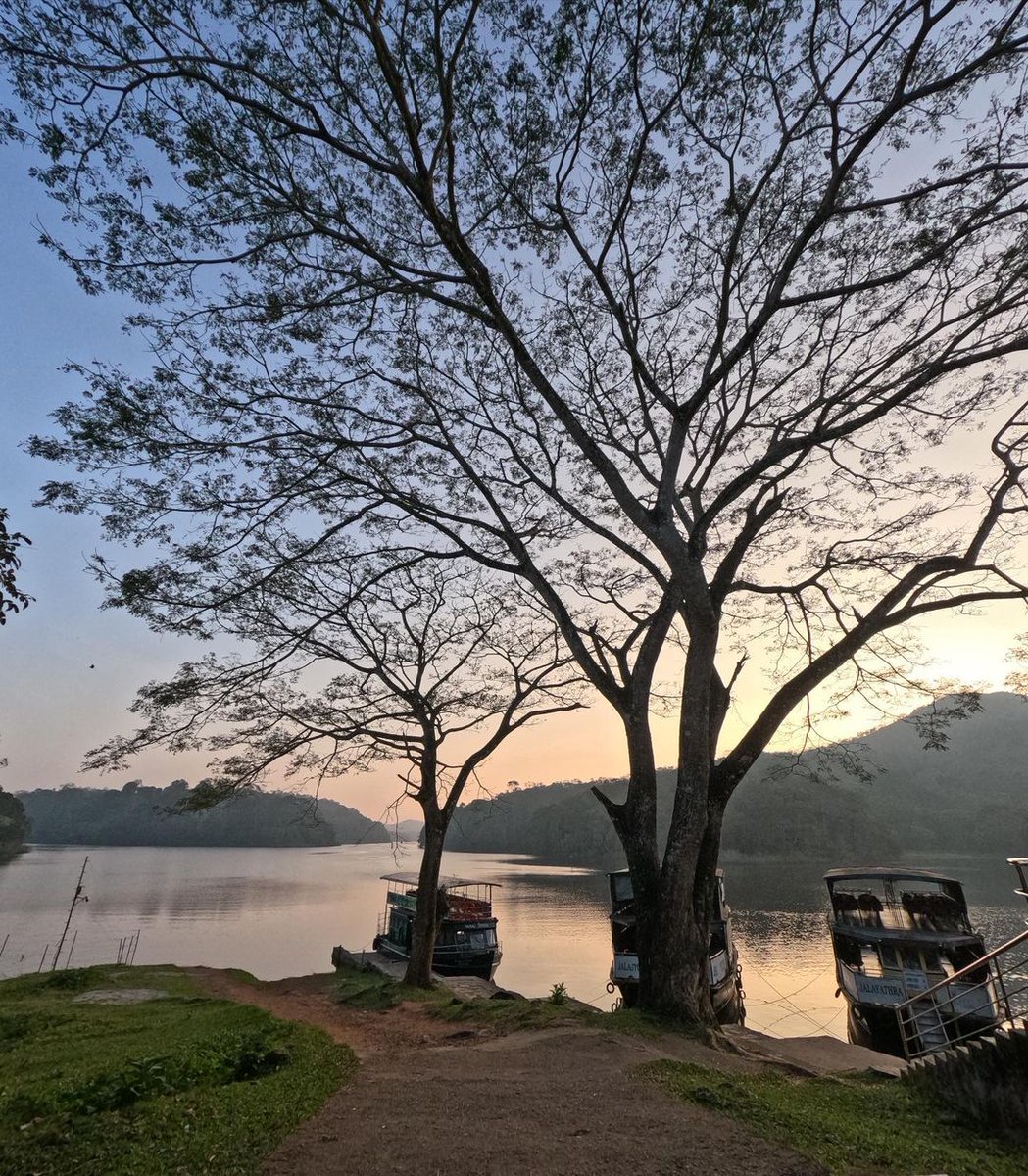 ktdchotels's tweet image. When nature is in show-off mode, all you can do is stop and stare. #thekkady #placestosee

📍 Periyar Tiger Reserve
📷 Wandering Wonders