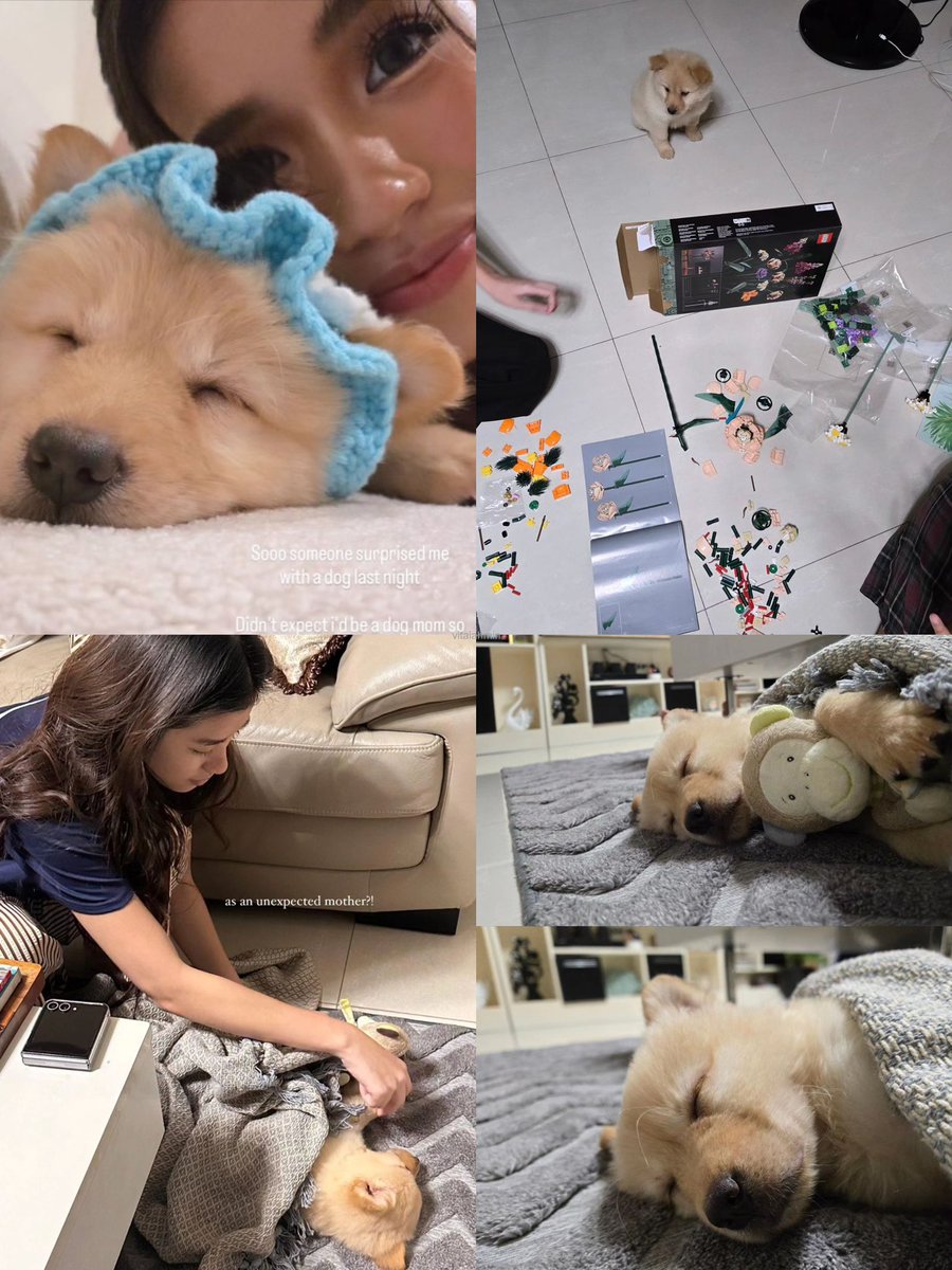 today marks day one of aiah being a fur mom 🐶