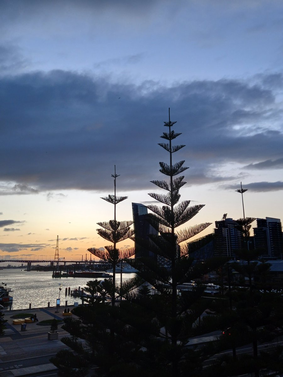 Matteo Bonotti tweet media