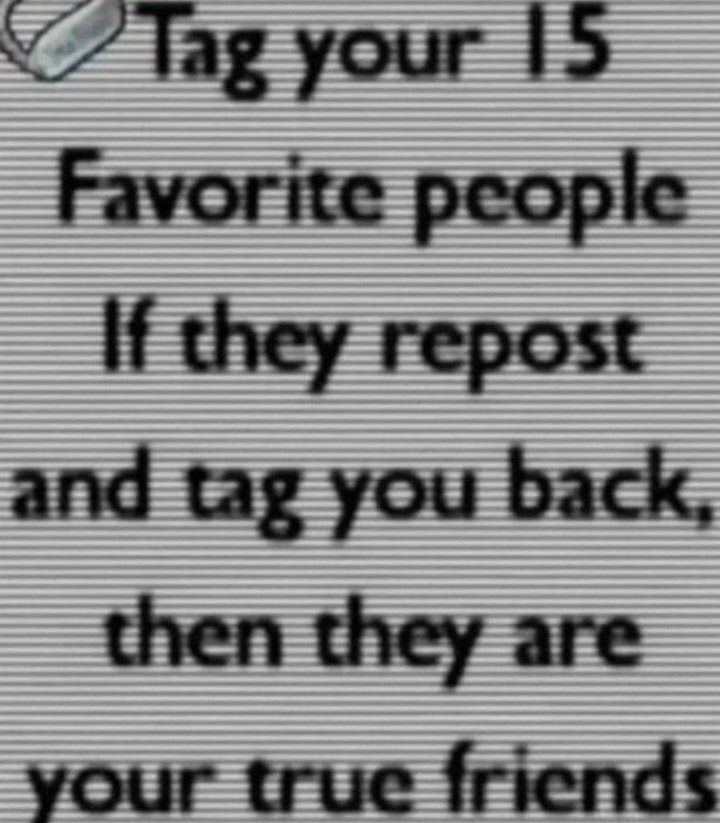 Dawn bunny (plushadawn) tweet media