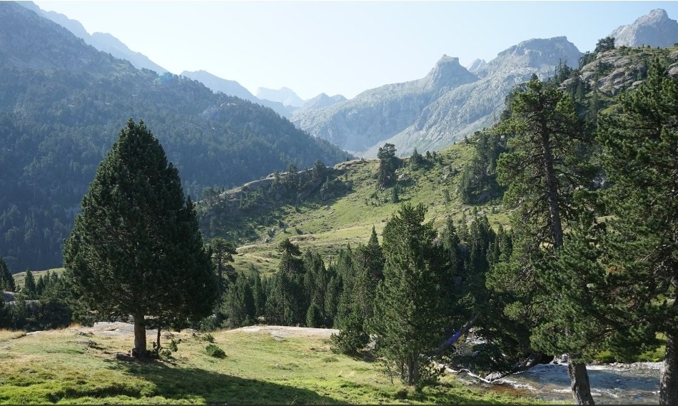 Bonjour amis de X!
J'espère que vous allez bien?  
2 photos du pic d'Arraillous (2704m), et 1 photo du vallon d'Arratille dans les Hautes Pyrénées. 
Je vous souhaite une excellente journée 😘😘