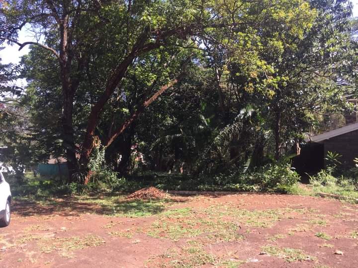sasini_qubit's tweet image. 5 acres land for sale at Lower kabete Rd.

Prime redevelopment Plot along lower kabete road, Kitisuru Ward, westlands, Nairobi.

5 acres rectangular plot with 4 bedroom house plus out Houses and DSQ.

Asking Ksh 550M

Quantum Realty 

0728 125131 
quantumrealtygroup@gmail.com