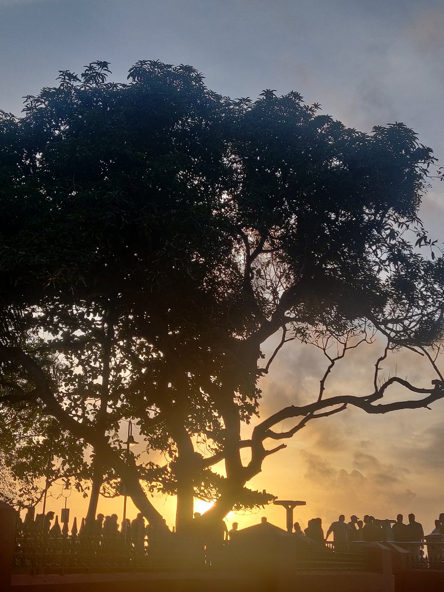 Post a pic you took. No description.