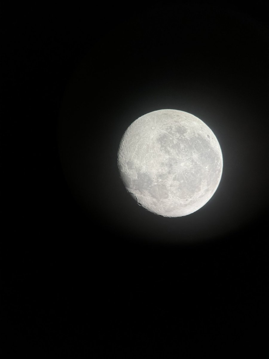 بشاير 🕊 tweet media