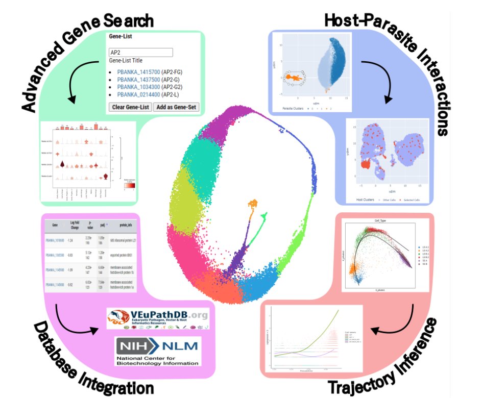 Thomas D. Otto tweet media