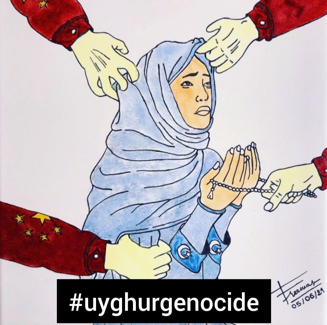 Doğu Türkistan'da işgal