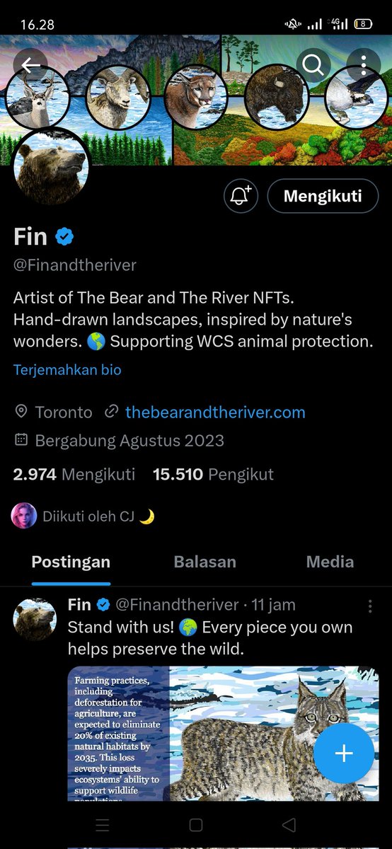 dev tweet media