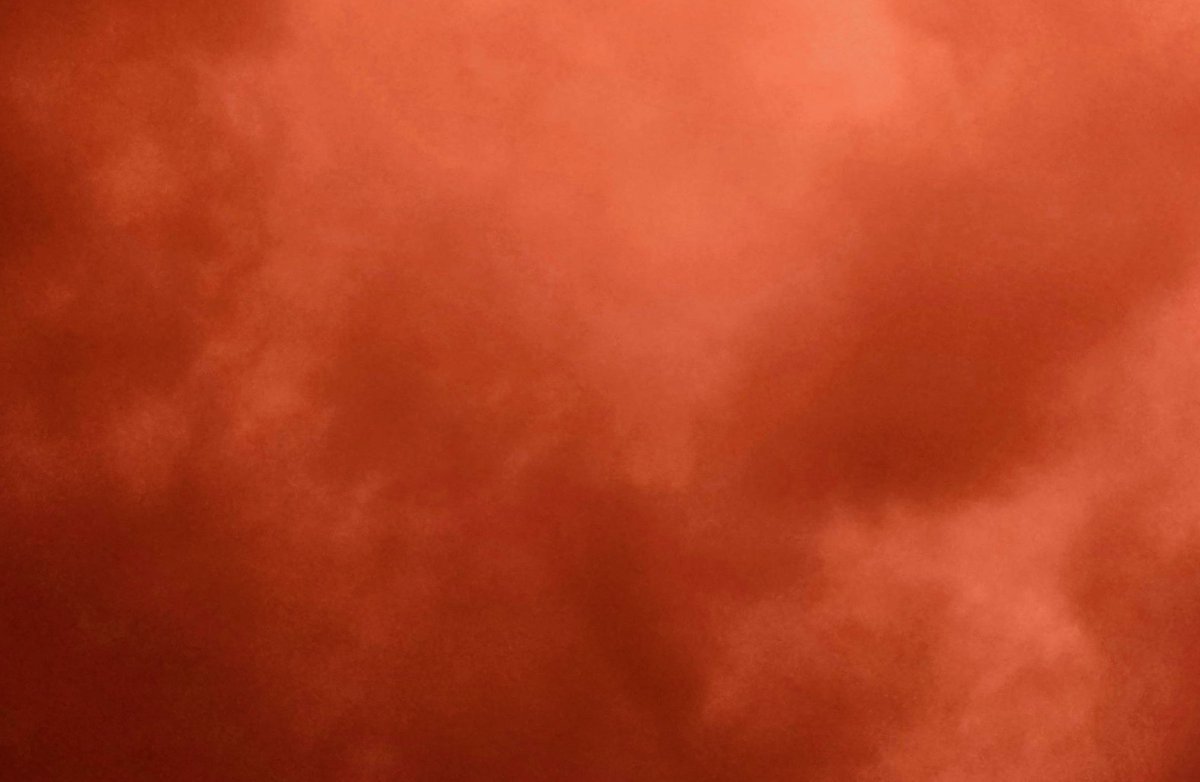 伊藤暢達/Masahiro Ito tweet media