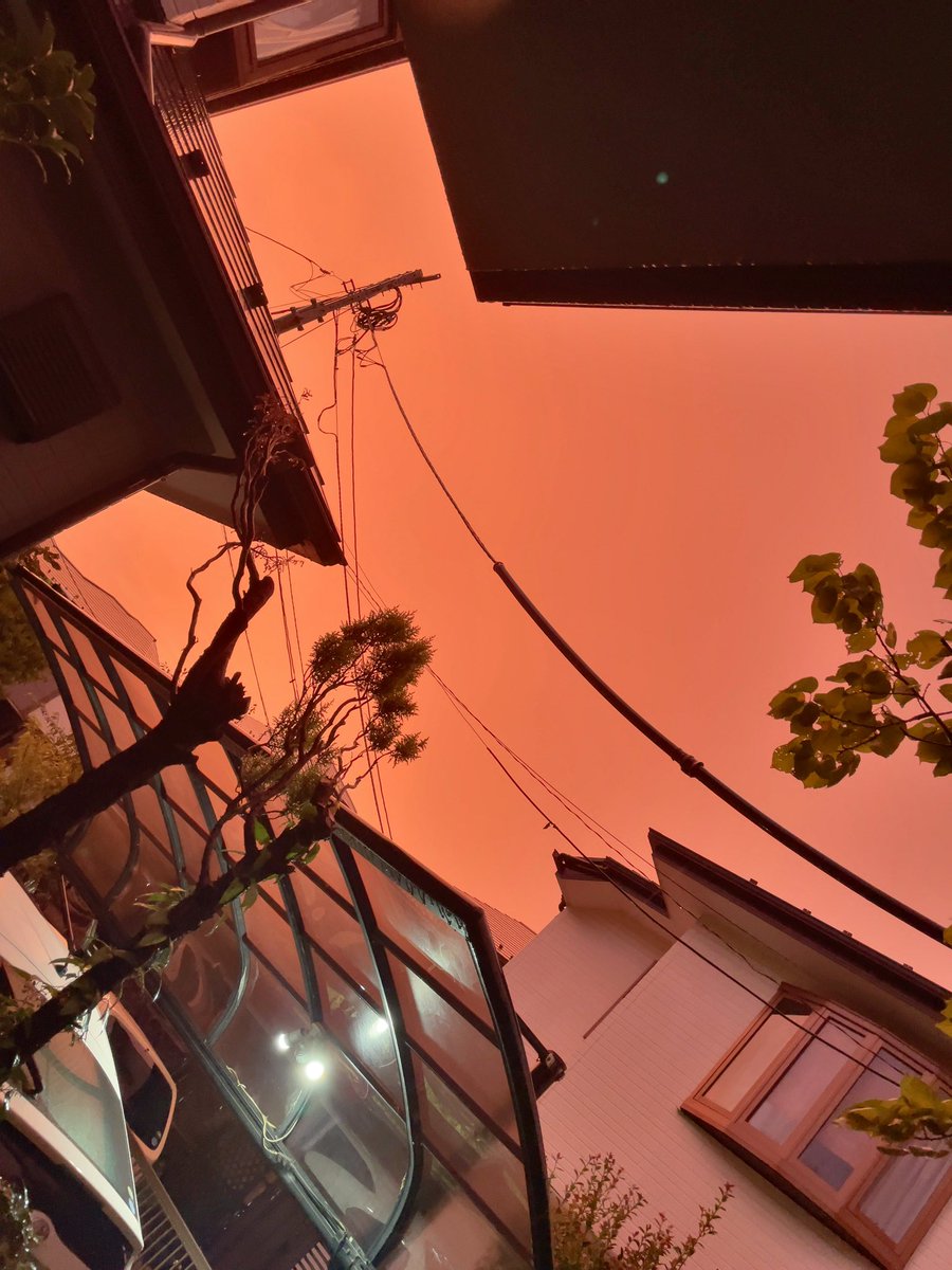 eXebLvEpLIqqlyj's tweet photo. 久しぶりの投稿です😅
大雨が降ってるのに窓の外が余りに明るいので、
玄関を開けてみたら不思議な空の色だった😳
#大雨 #台風 #空の色 https://t.co/IBJnwaTU51