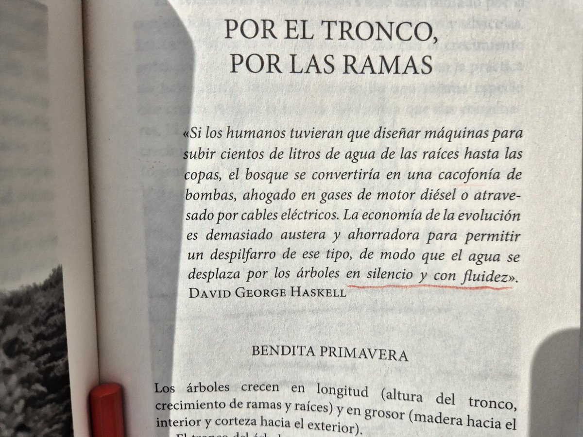 Leticia Laguno de Ygartua (@leticialaguno) on Twitter photo 