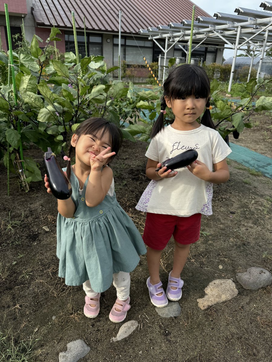 agrigardencamp's tweet photo. 先日も収穫体験&amp;ピザ作りをお楽しみいただきました♪
本日が宿泊最終日です✨ https://t.co/5oGokBTQtI