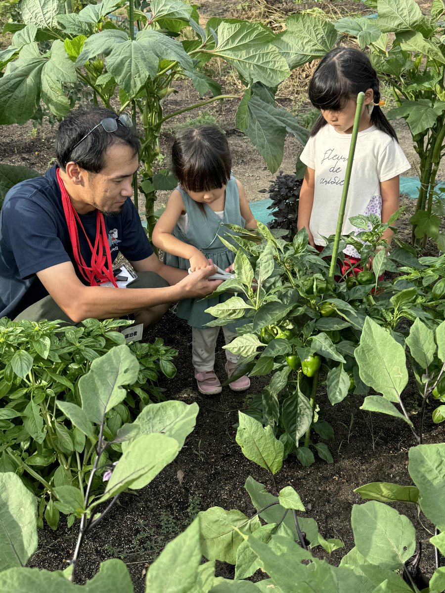 agrigardencamp's tweet photo. 先日も収穫体験&amp;ピザ作りをお楽しみいただきました♪
本日が宿泊最終日です✨ https://t.co/5oGokBTQtI
