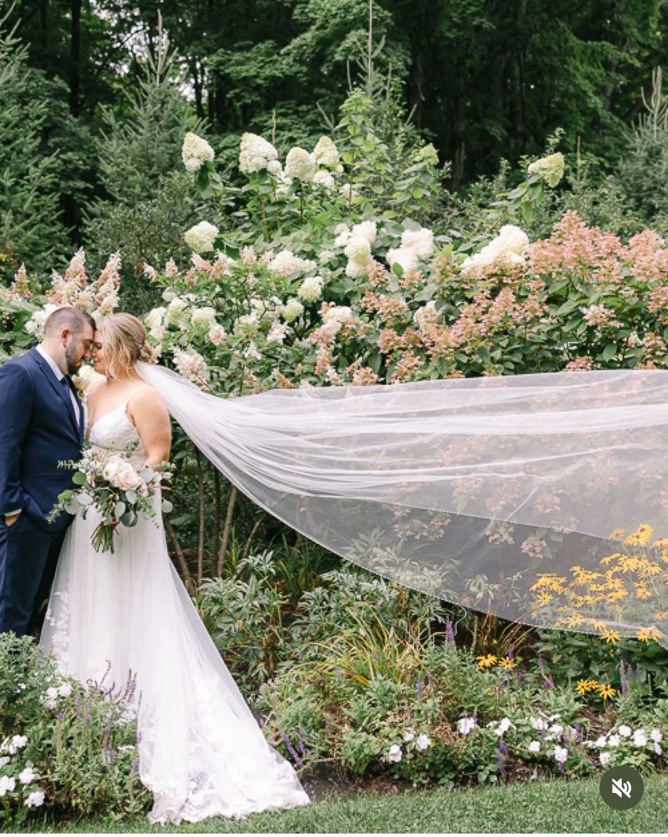 Jenna Teti (Clouthier) tweet media