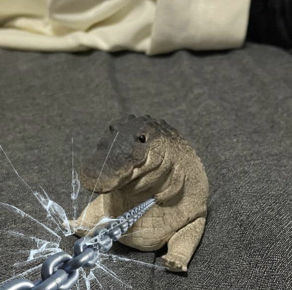 Gomu Gator tweet media