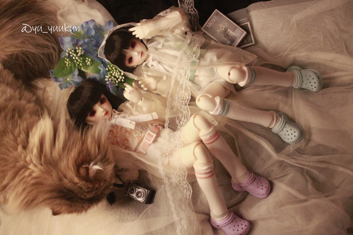 エンジェルちゃん