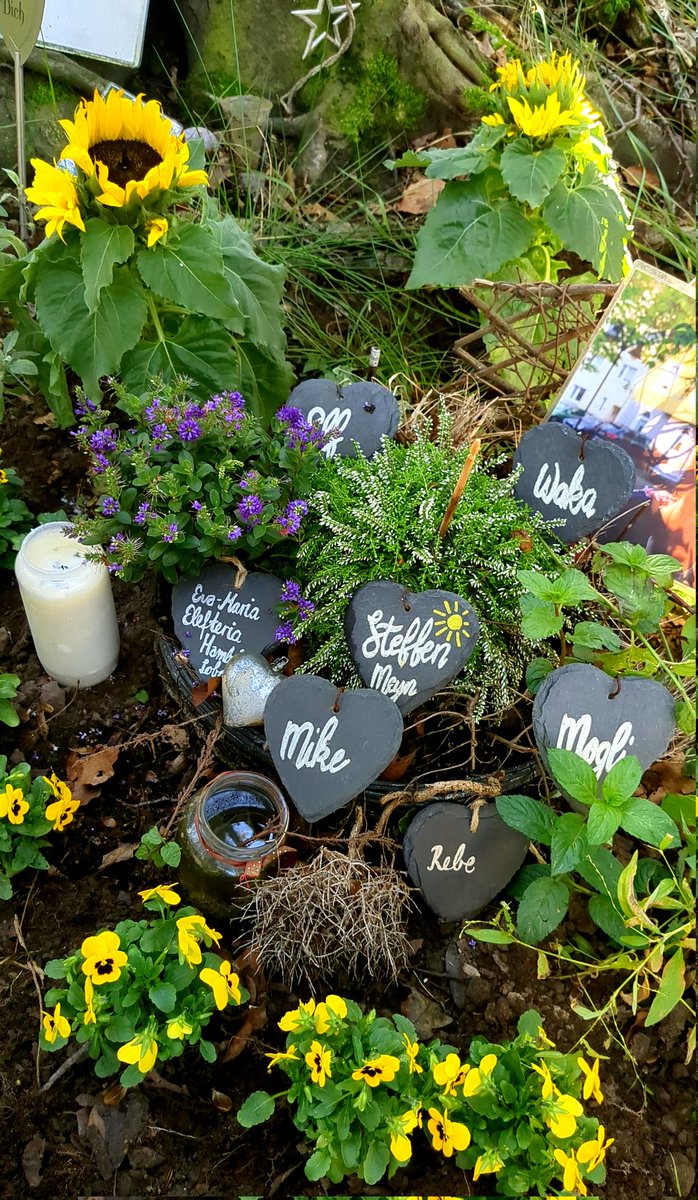 Herzliche Einladung zur Gedenkfeier im Hambacher Wald.
Save the Date: 29.9.2024 um 13:00 an der Gedenkstätte in Beechtown.

Wir gedenken unseren Freund:innen Steffen Meyn (Sonne), Elf, Waka, Lobo/Elefteria Hambi, Mike, Mogli, Rebe.

hambacherforst.org/besetzung/gede…