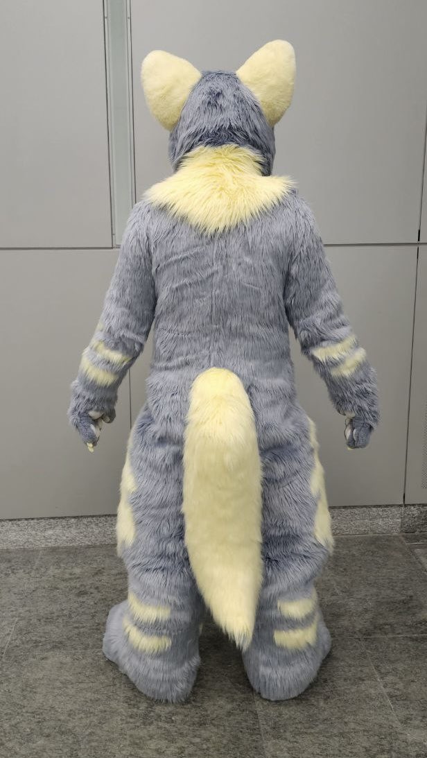 KemoTianou's tweet photo. ✨虎次狼全毛化啦！

🐺Owner：@Jiro_toraJiro https://t.co/DJ9YrvPjP6