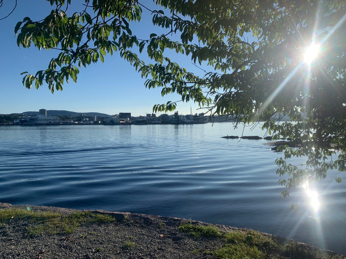 Lang møtedag i Oslo. Fin start med løpetur til Bygdøy i morges. God lørdag.