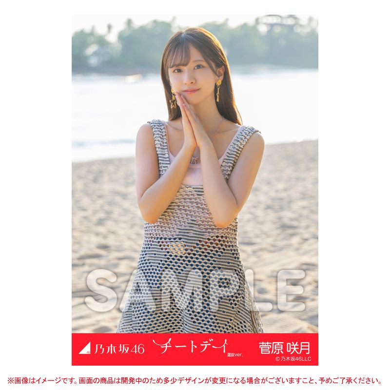乃木坂46 数多い 生写真 菅原咲月 チートデイ 乃木坂46 数多い 生写真 菅原咲月 チートデイ