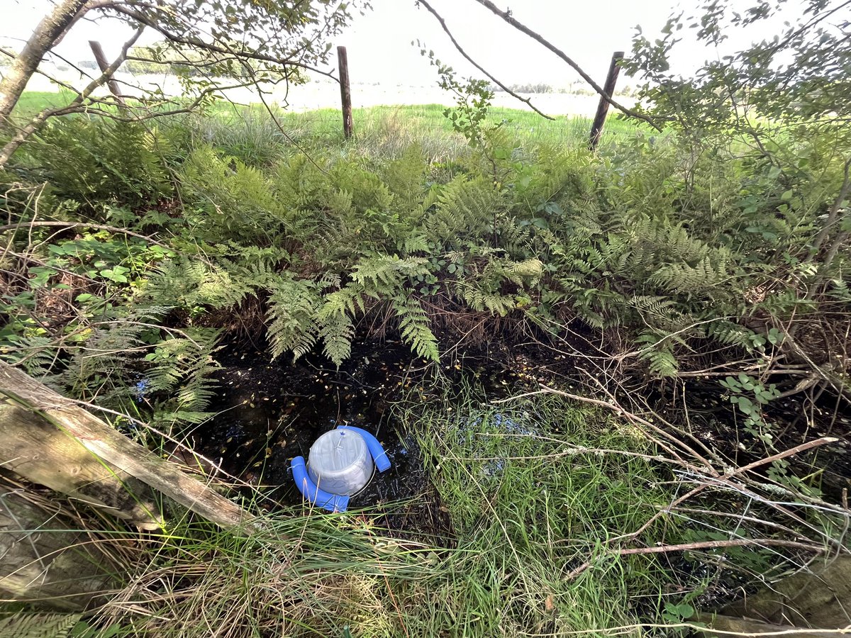 Laura Baugh (@laurabaugh94) on Twitter photo A great few days sampling at Cors Fochno. 16 pools samples for GHG emissions. Such a beautiful site, probably one of my favorites so far! #PeatTwitter <a href="/livunigeog/">livunigeog</a> A great few days sampling at Cors Fochno. 16 pools samples for GHG emissions. Such a beautiful site, probably one of my favorites so far! #PeatTwitter <a href="/livunigeog/">livunigeog</a>