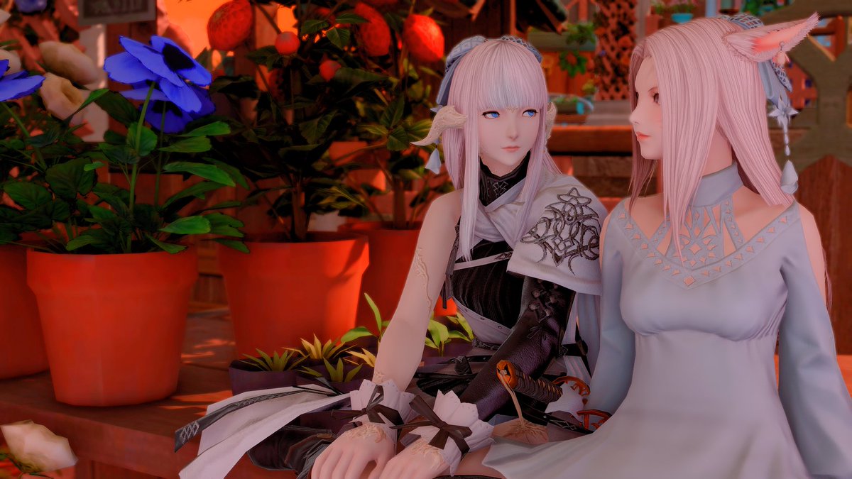 wisecatio's tweet image. 