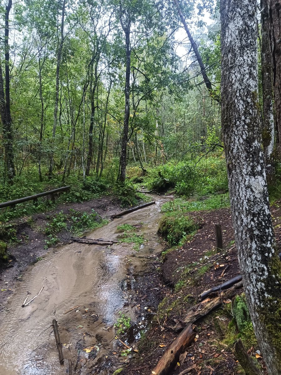 Spatial Ecology Group tweet media